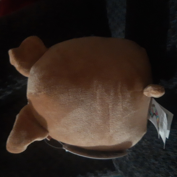 Squishmallow 5" Brenden - Picture 2 of 2